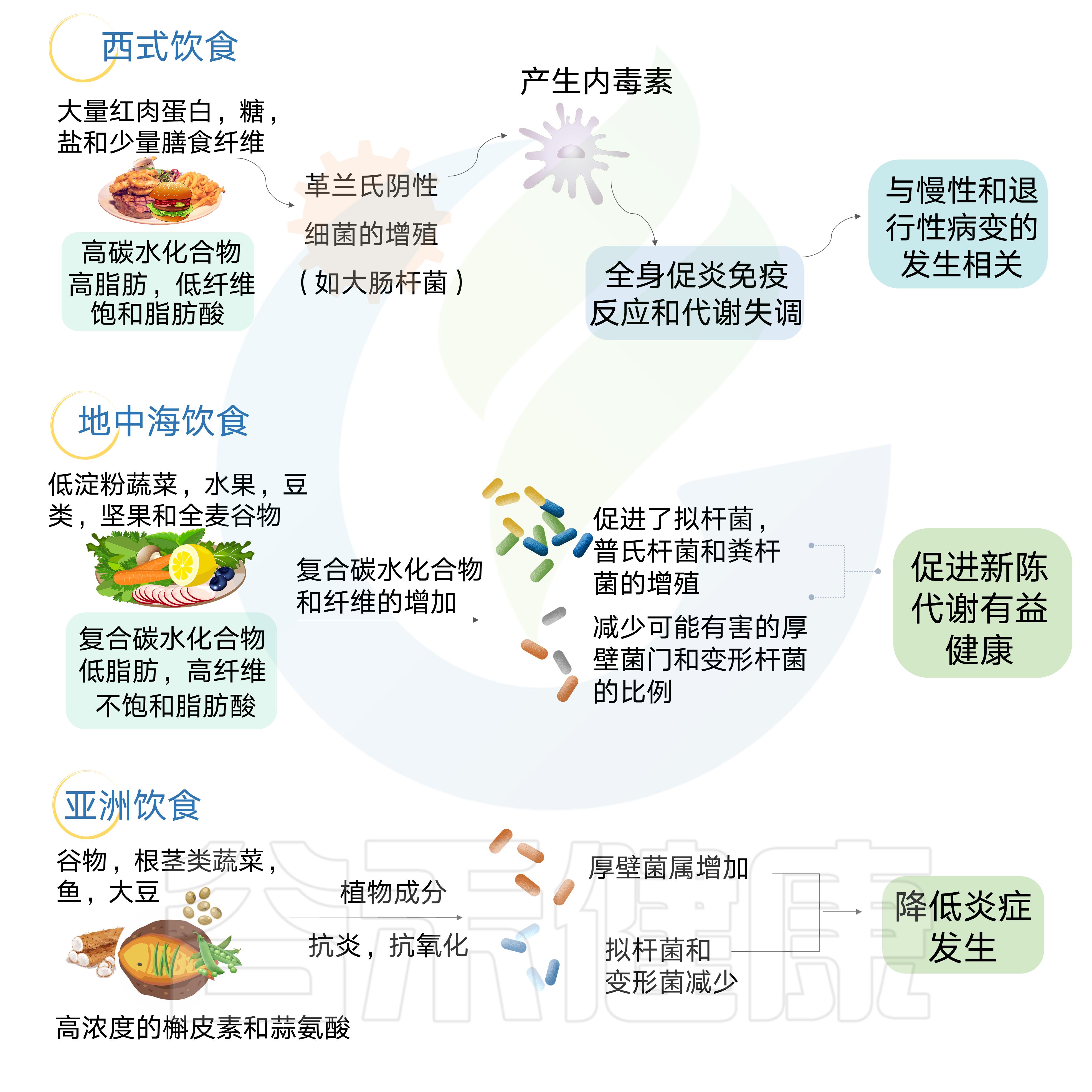 肠道菌群影响饮食文章,饮食与肠道菌群唇齿相依