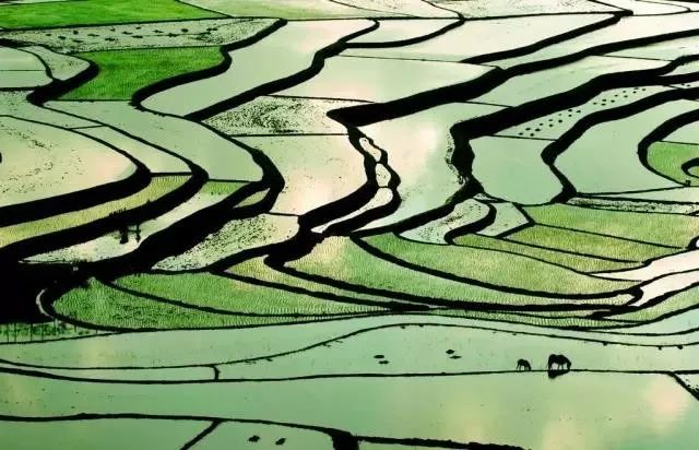 成贵高铁模拟线路图,成贵高铁通到哪里了