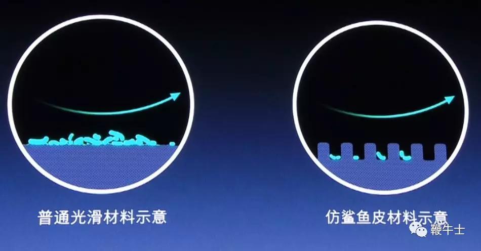 罗永浩老人与海直播链接,老罗老人与海