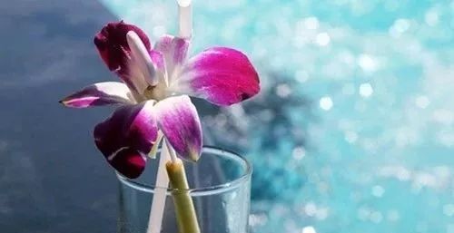 身边有些“万用药”,好用还省钱,现在知道不算晚