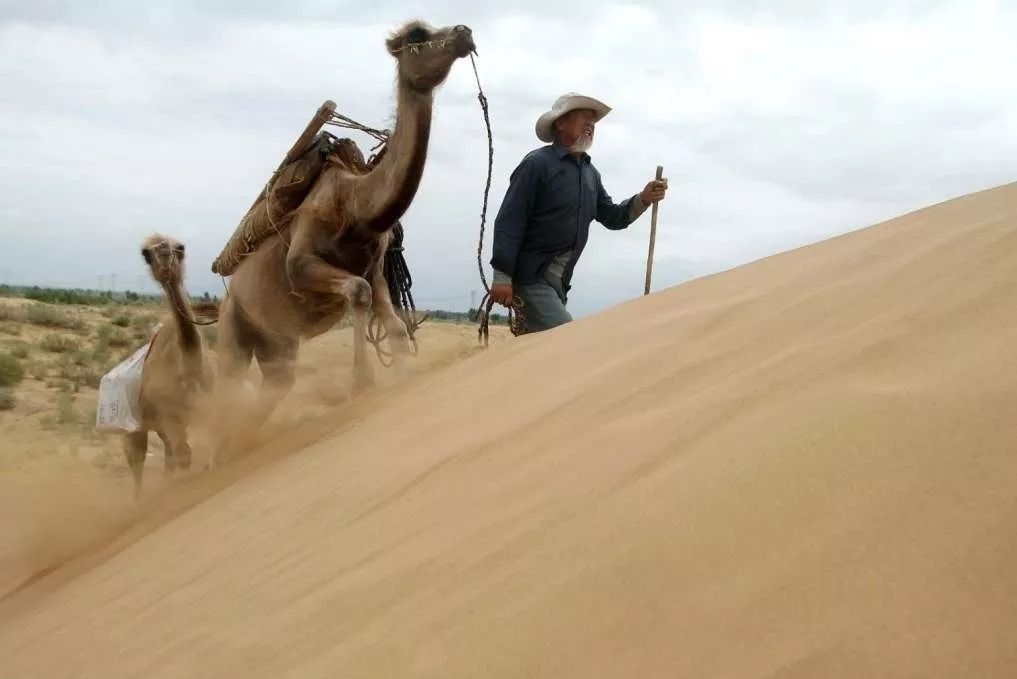 春运火车票1月12日可以买票吗,2020年元旦火车票开售啦