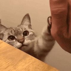 雷电暴雨接下来南昌的天气,南昌天气预报最近三天