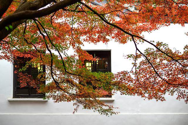 无锡旅行漫步江南水乡惠山古镇，寻找帝王的足迹