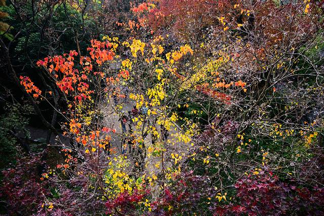 无锡旅行漫步江南水乡惠山古镇,寻找帝王的足迹