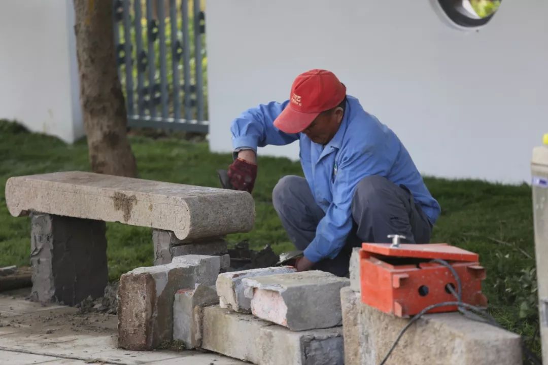 东阳桂花公园要门票吗,苏州桂花公园最新消息