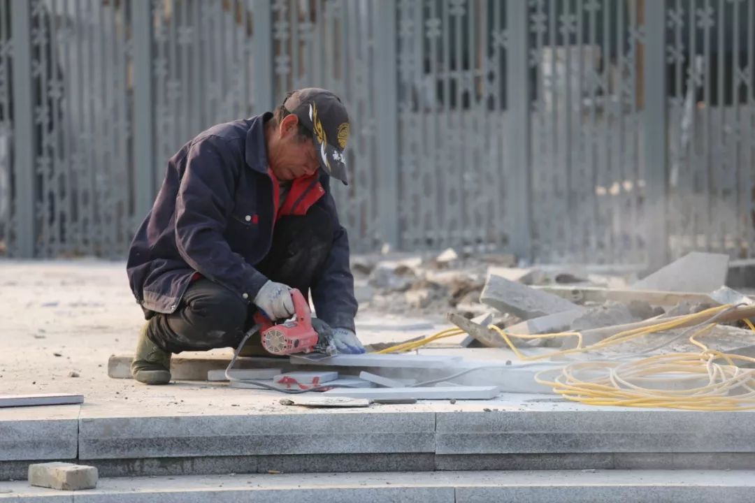 东阳桂花公园要门票吗,苏州桂花公园最新消息