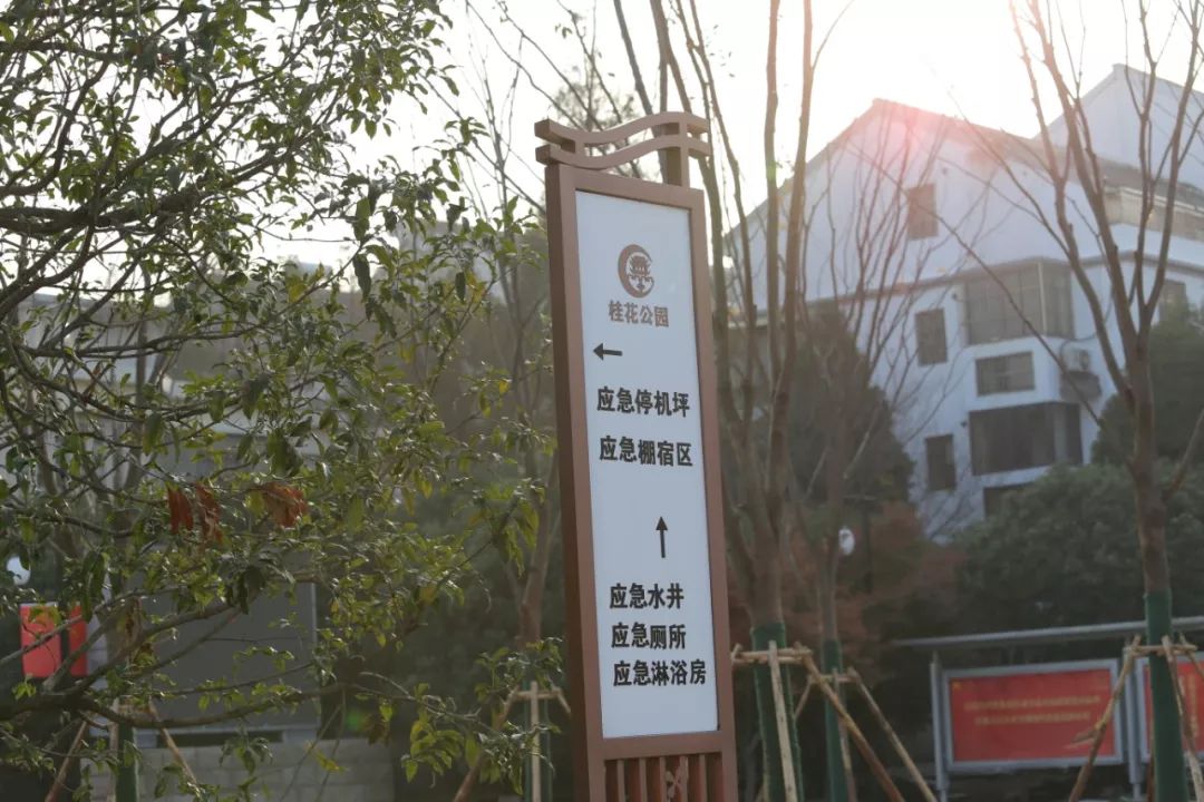 东阳桂花公园要门票吗,苏州桂花公园最新消息