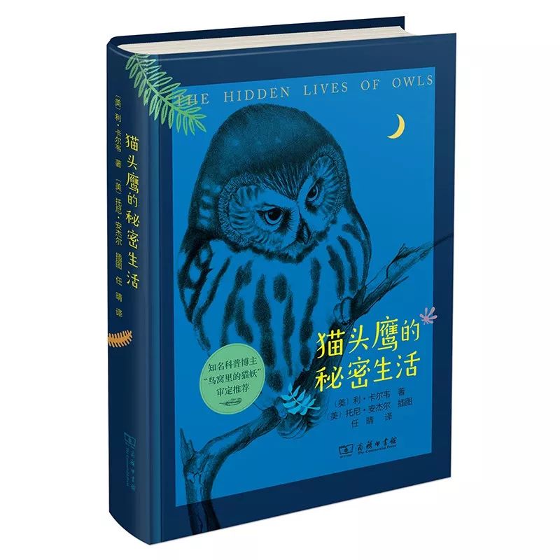 新书推荐经典必读,新书速递书籍