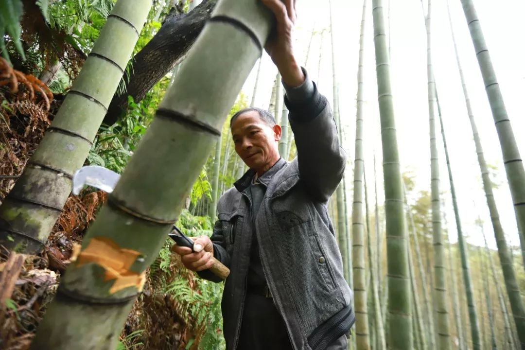 家庭工艺品小作坊致富项目,家庭小作坊致富项目食品