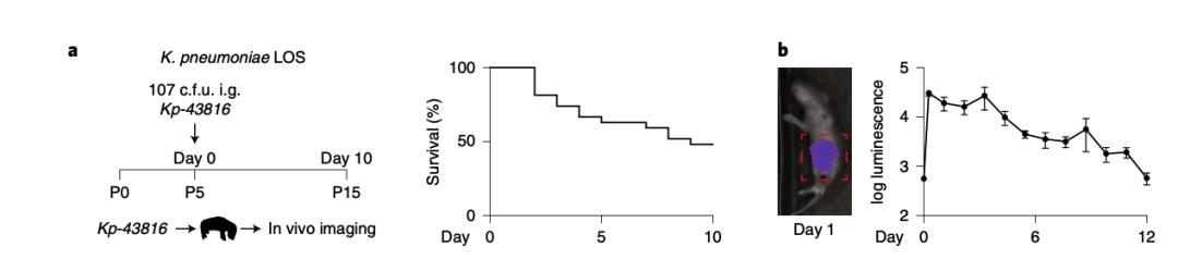 nature子刊基因组测序,nature子刊科学报告