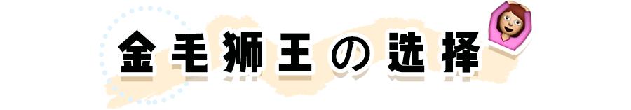 jennie发型双丸子头编发,黑色大波浪长发发型jennie