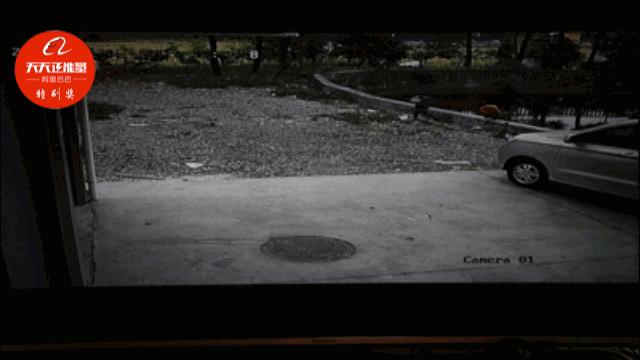 送这对夫妻上!热!搜