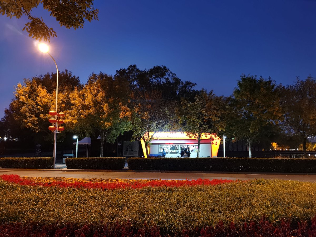 华为mate30pro前摄像头近拍,华为mate30pro前摄像头拍照效果