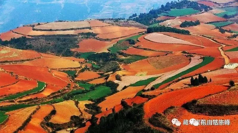 大地的调色板云南东川红土地,大地的调色板