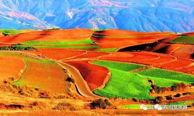 大地的调色板云南东川红土地,大地的调色板