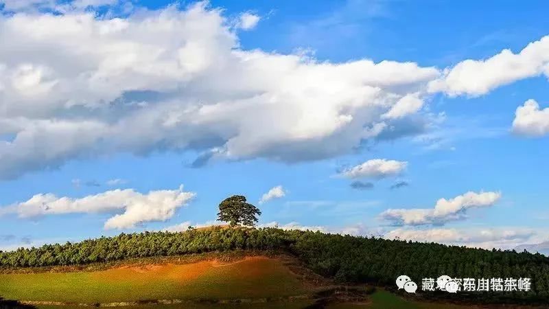 大地的调色板云南东川红土地,大地的调色板