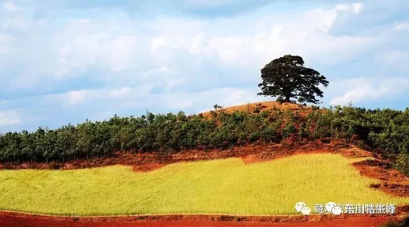 大地的调色板云南东川红土地,大地的调色板
