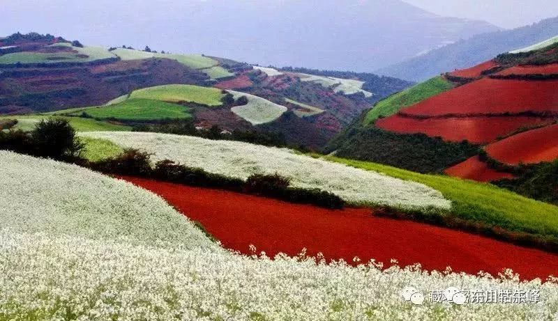 大地的调色板云南东川红土地,大地的调色板