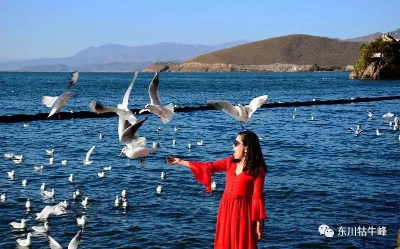 大地的调色板云南东川红土地,大地的调色板