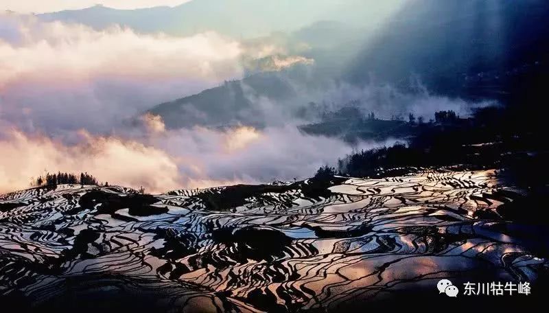 大地的调色板云南东川红土地,大地的调色板