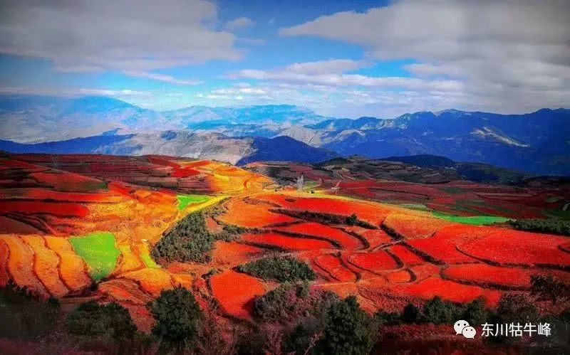 大地的调色板云南东川红土地,大地的调色板