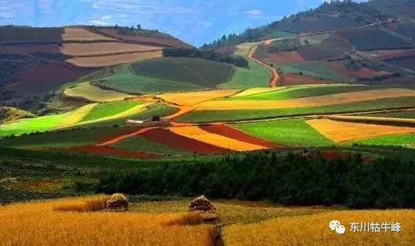 大地的调色板云南东川红土地,大地的调色板