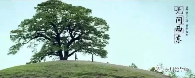 大地的调色板云南东川红土地,大地的调色板