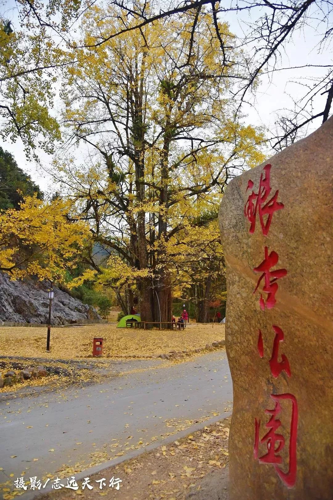 福建冬天风景最美的地方,福建冬季风景最美的地方