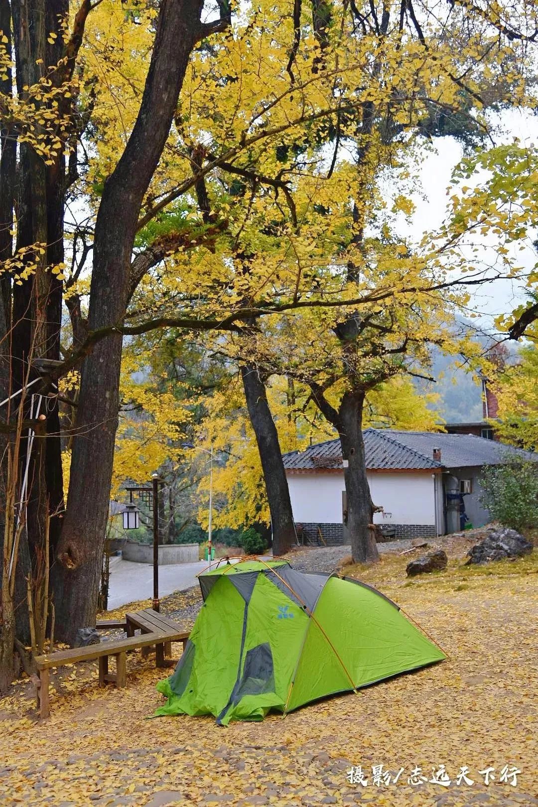 福建冬天风景最美的地方,福建冬季风景最美的地方