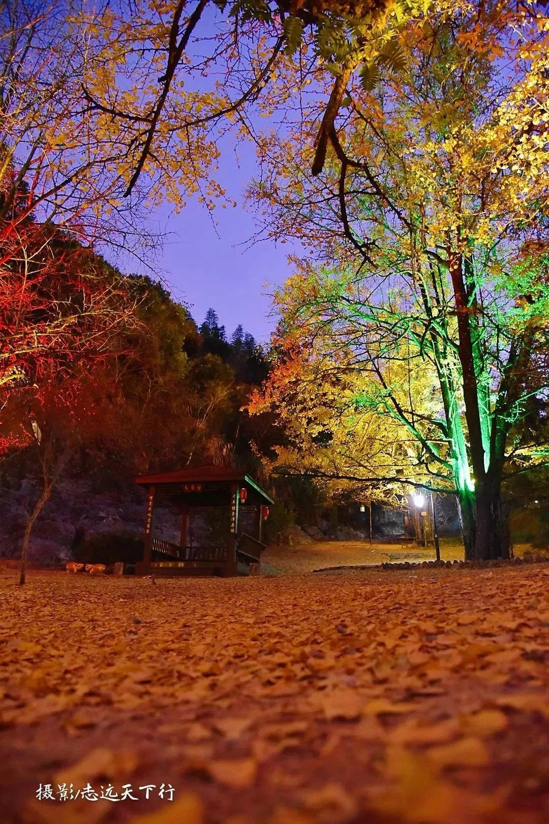 福建冬天风景最美的地方,福建冬季风景最美的地方