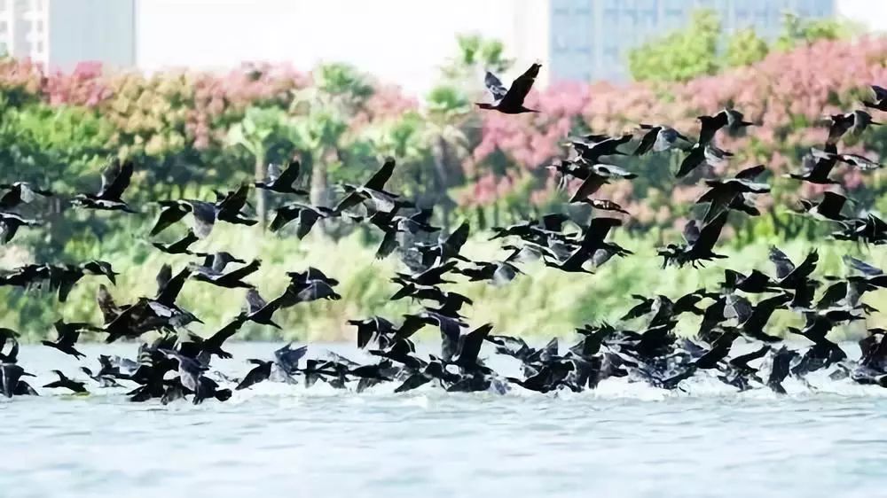 福建冬天风景最美的地方,福建冬季风景最美的地方