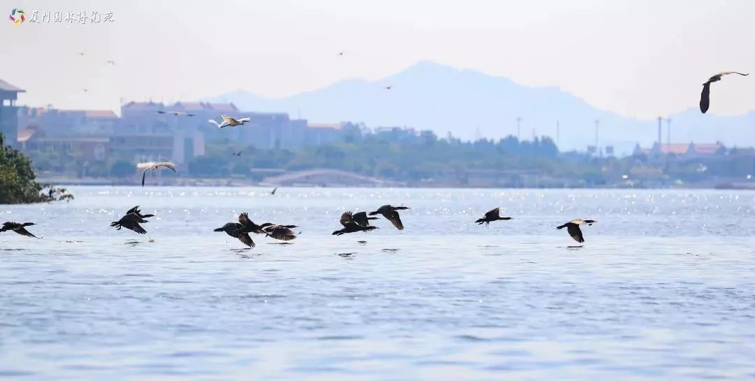 福建冬天风景最美的地方,福建冬季风景最美的地方