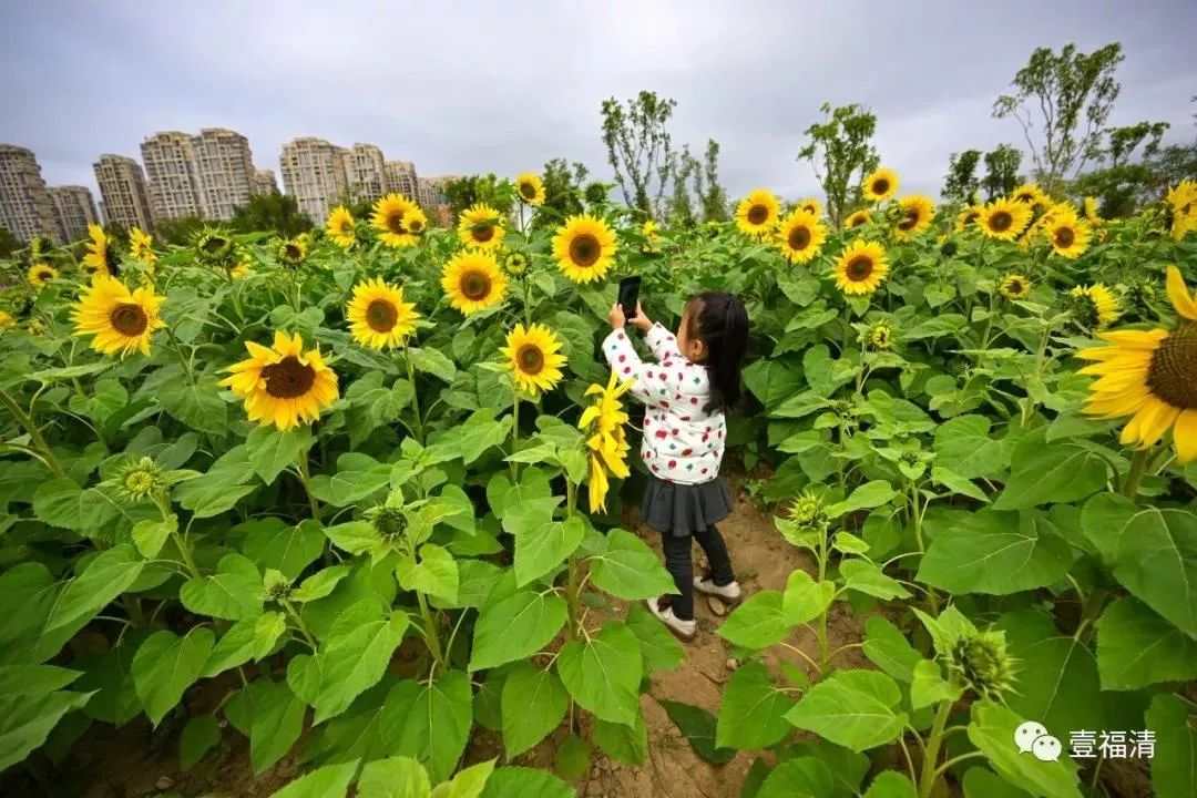 福建冬天风景最美的地方,福建冬季风景最美的地方