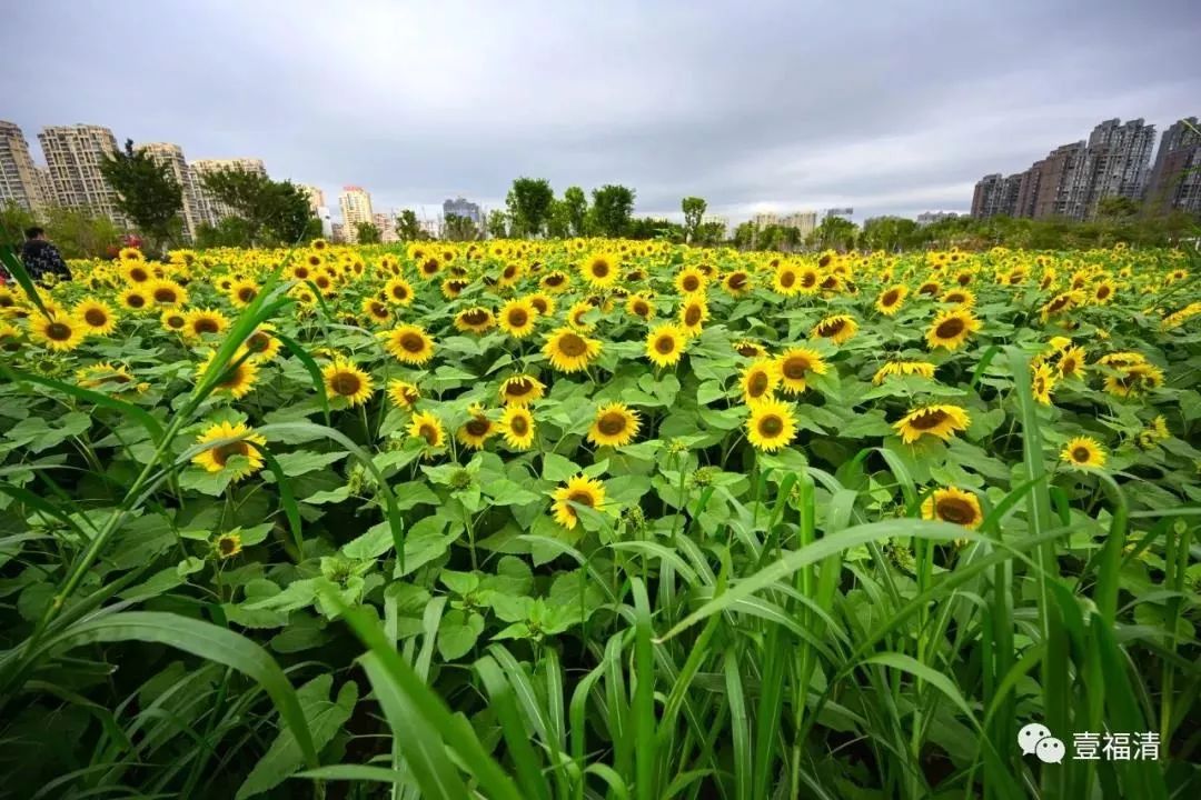 福建冬天风景最美的地方,福建冬季风景最美的地方