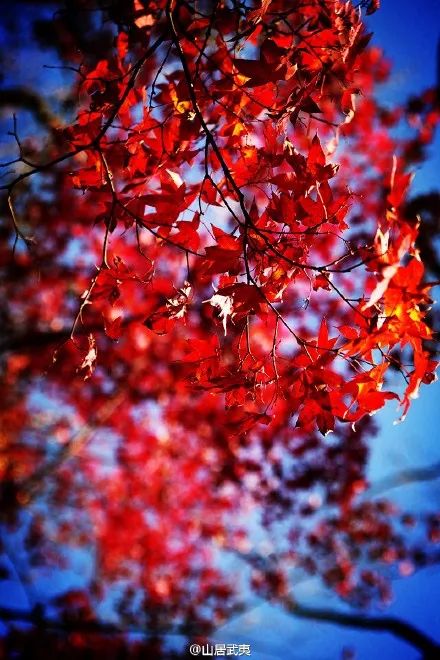 福建冬天风景最美的地方,福建冬季风景最美的地方