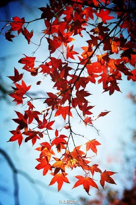 福建冬天风景最美的地方,福建冬季风景最美的地方