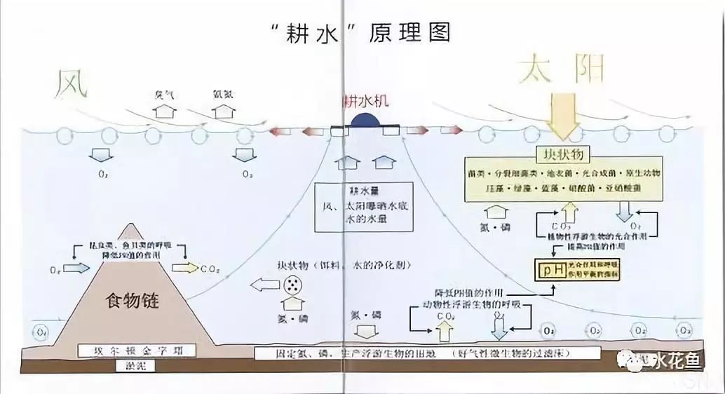 水产养殖净化水质标准最新,水产养殖净化水的方法