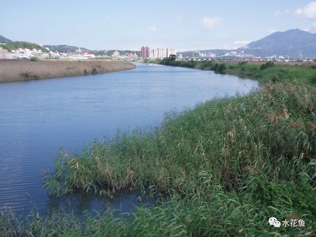 水产养殖净化水质标准最新,水产养殖净化水的方法
