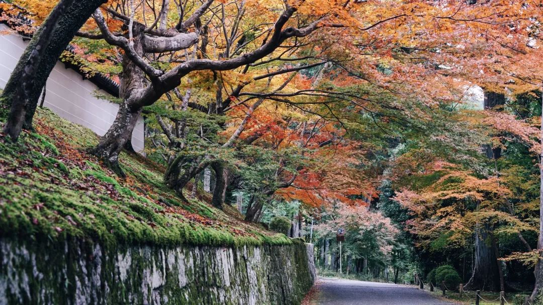 日本｜关西五天四晚，到底买什么交通卡？