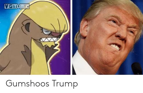 剑盾可以让宝可梦不进化吗,宝可梦剑盾为什么极巨化不变样貌