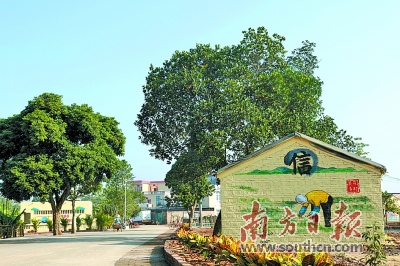 湛江最新大行动,湛江遂溪百千万工程