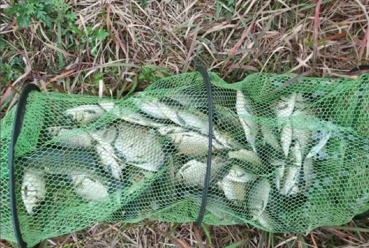 传统钓轻装上阵,传统钓装备怎么做到轻松又舒服