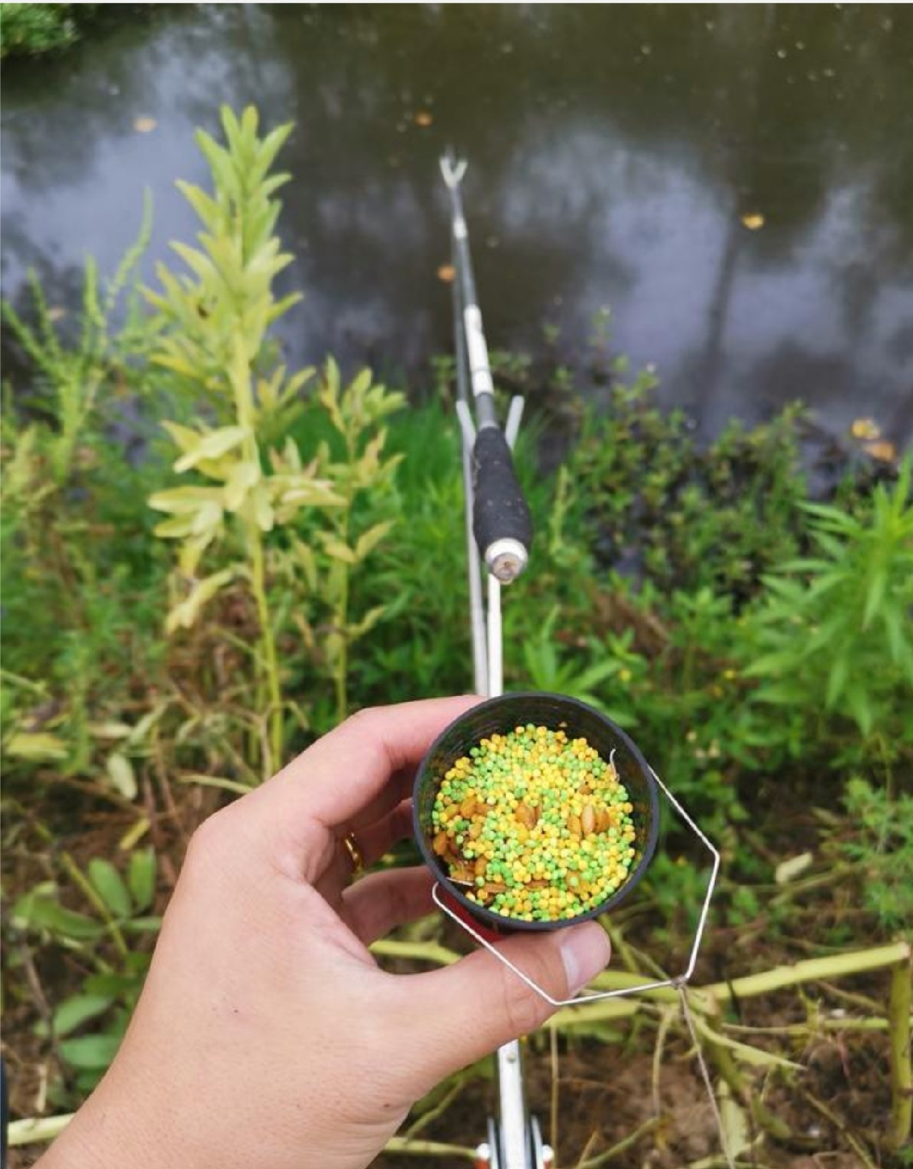 传统钓轻装上阵,传统钓装备怎么做到轻松又舒服