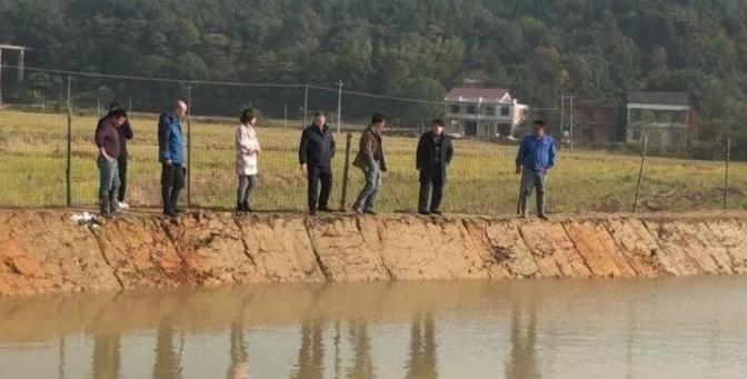 智慧农业助农民增产,分享农业知识助力农户增产增收