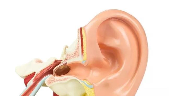 以前是糠耳为什么变成油耳了呢,耳朵油耳和糠耳区别