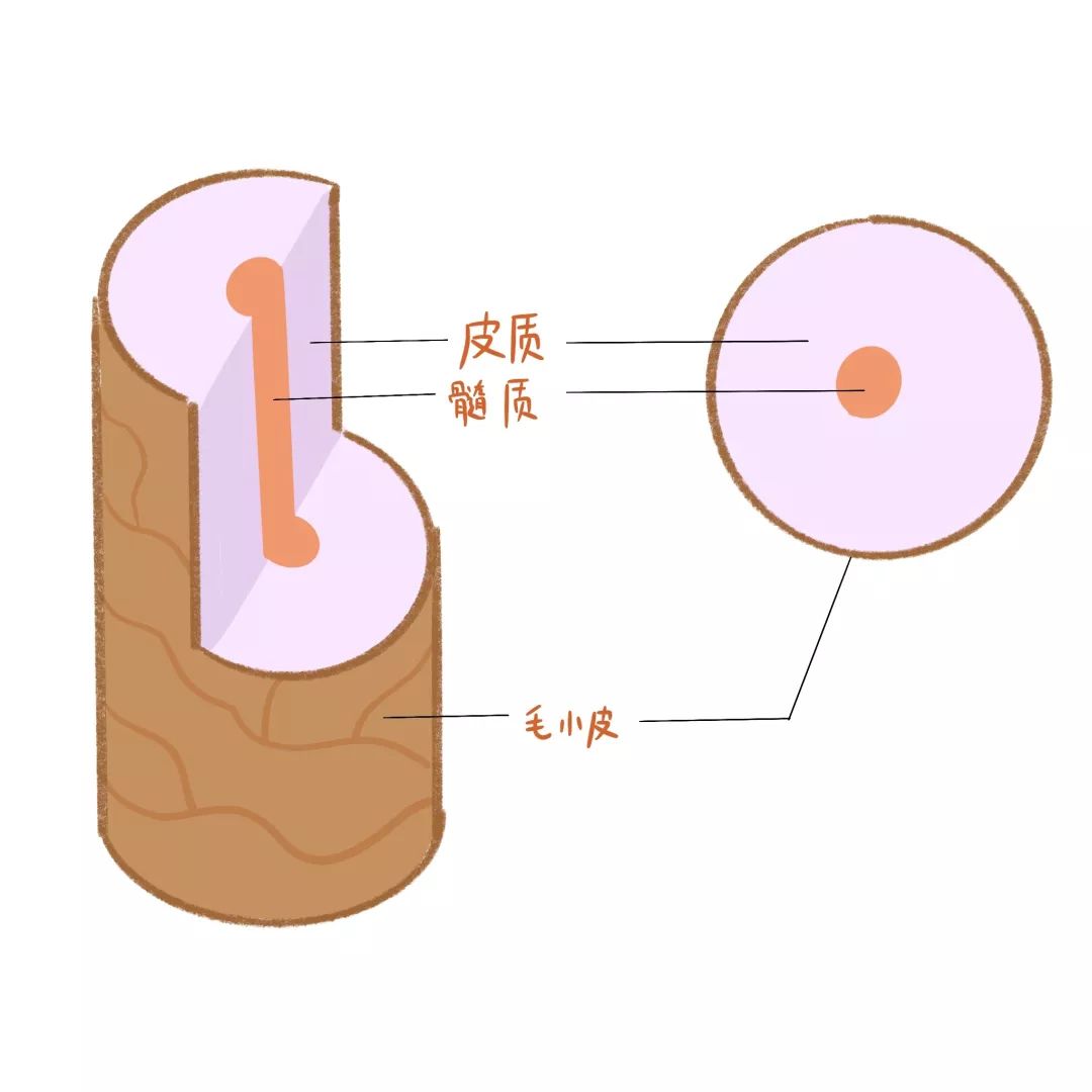 头发分叉干枯毛躁的照片,修复头发干枯毛躁分叉的发膜