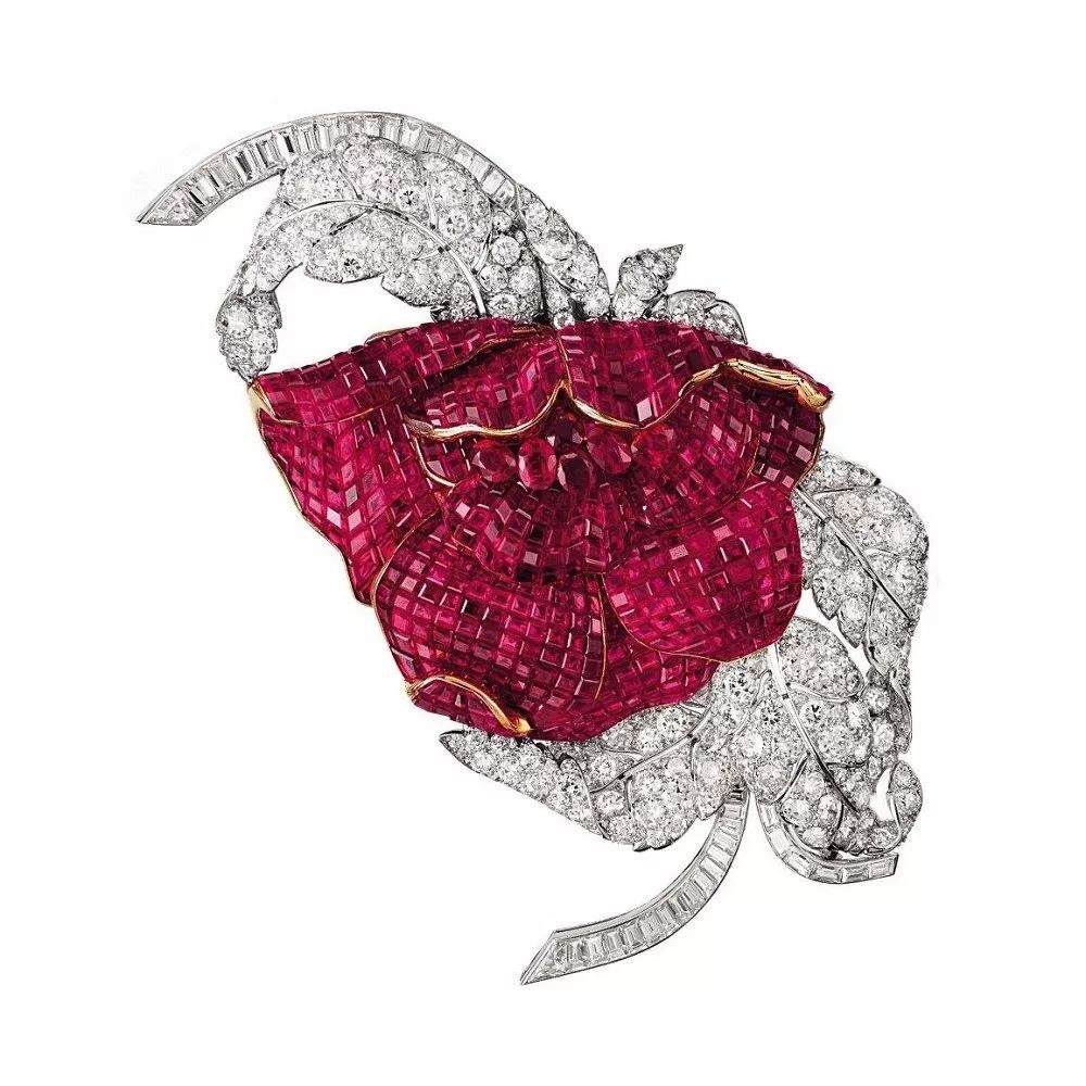 为什么大部分明星红毯不戴项链,明星在红毯上戴的珠宝