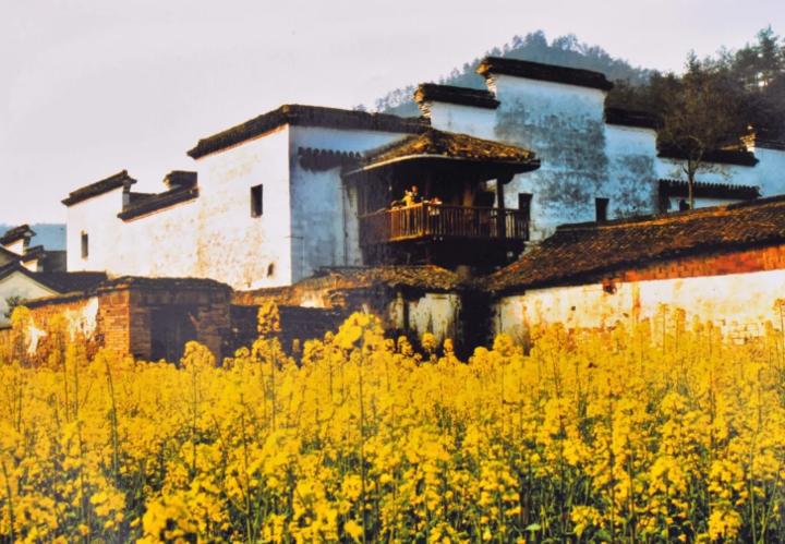 游桐庐，文旅基金为你买单！幸运“嬉”客是你吗？