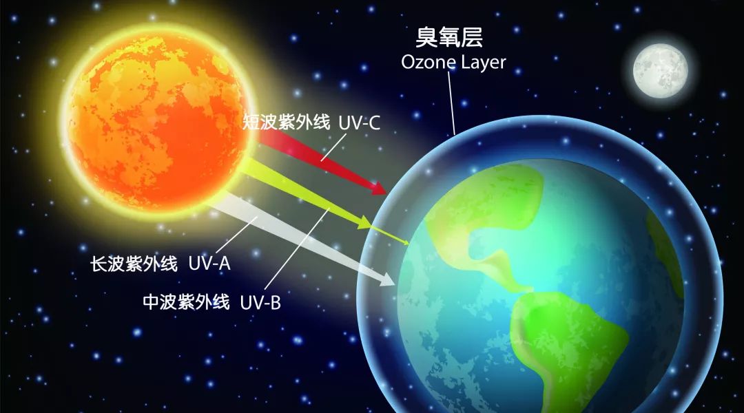 有没有什么方法变白一点,真正有效变白的护肤品