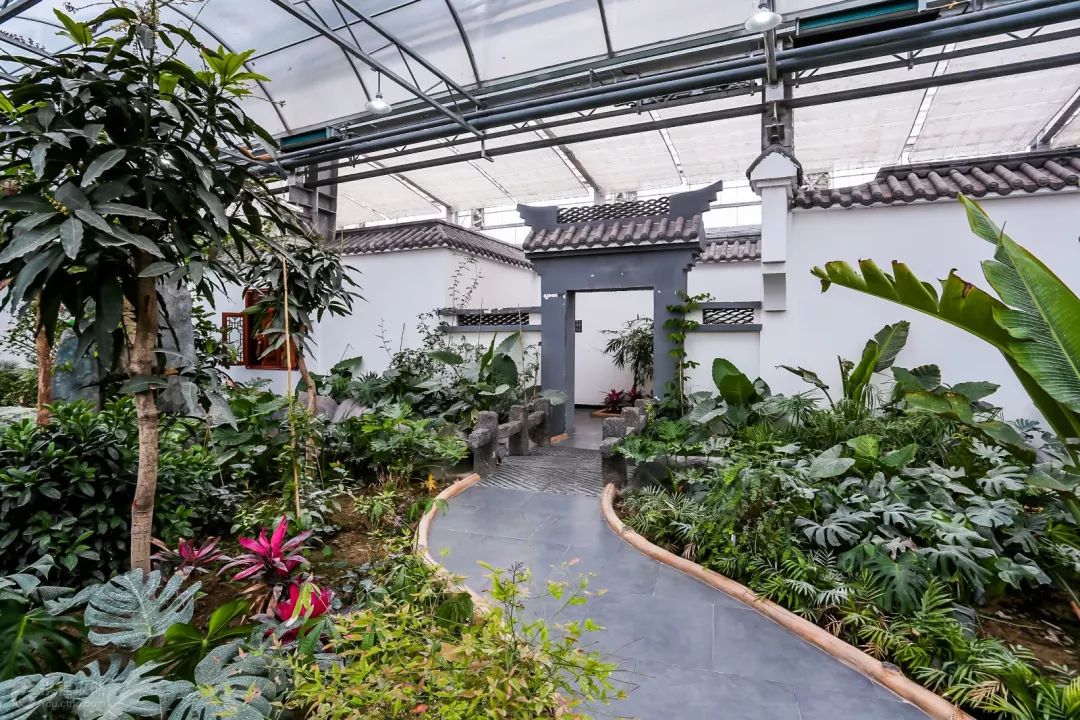 五月一日游布尔津,7月新疆布尔津旅游攻略